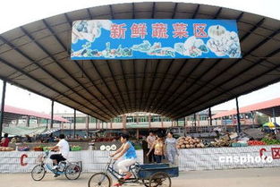 食用農(nóng)產(chǎn)品價(jià)格迎兩月來首次回落 市場(chǎng)供應(yīng)趨穩(wěn)信號(hào)顯現(xiàn)
